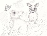 Spring Bunnies